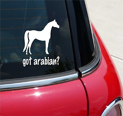 #ad GOT ARABIAN? ARABIAN HORSE GRAPHIC DECAL STICKER ART CAR WALL DECOR $3.58