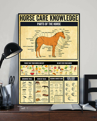 #ad #ad Horse Care Knowledge Home Decor Wall Art Poster $16.95
