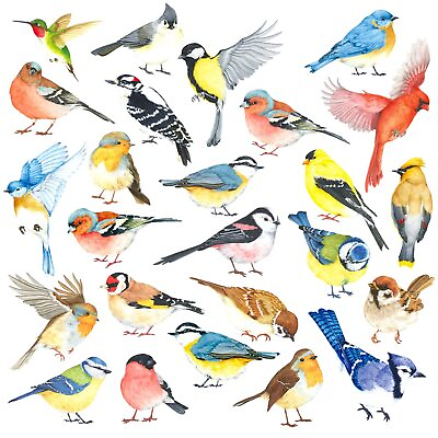 #ad DS4 8063 25 Little Birds Wall Art Decals Stickers Kids Peel and Stick Removab... $20.62