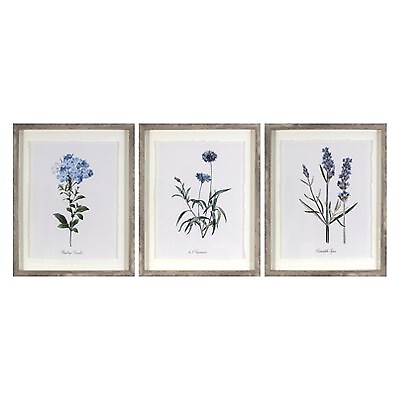 #ad Set of 3 16quot;x20quot; Framed Vintage Botanicals Decorative Wall Art Threshold $38.99