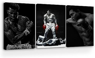 #ad Muhammad Ali Canvas Wall Art Set of 3 HD Printed amp; Wooden Framed Wall Art $61.99