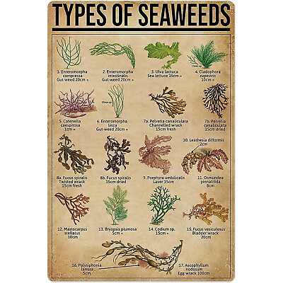 #ad Types Of Seaweeds Posters Wall Decor Metal Signs Retro Room Decor Bedroom 12x8in $14.87