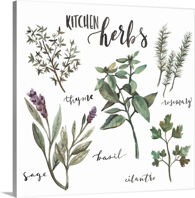 #ad Kitchen Herbs Canvas Wall Art Print Herbs amp; Spices Home Decor $45.99