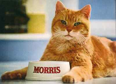 #ad #ad Morris The Cat 9 Lives Vintage Advertisements 8.5x11 Glossy Photo Print $8.99