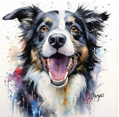 #ad Watercolor Border Collie Painting Art Print 8x11 inch $15.99