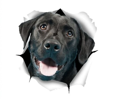 #ad NEW 12” Realistic Adorable Black Labrador Hanging Out Car Wall Sticker Decal $21.99