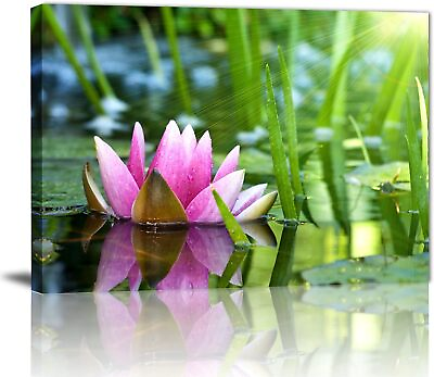 #ad Zen Flower Canvas Wall Art Water Lilies in Full Bloom in the Sun Canvas Print $13.90