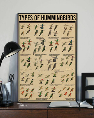 #ad Types of Hummingbirds Home Decor Wall Art Poster $13.95