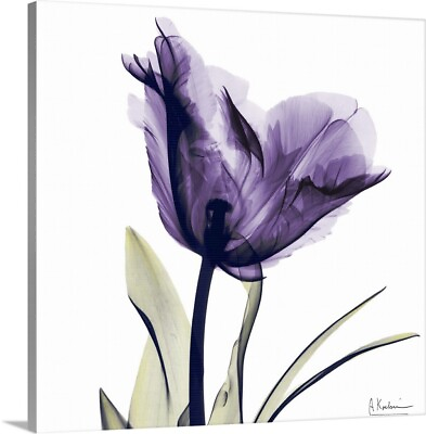 #ad #ad Purple Flower Canvas Wall Art Print Floral Home Decor $49.99