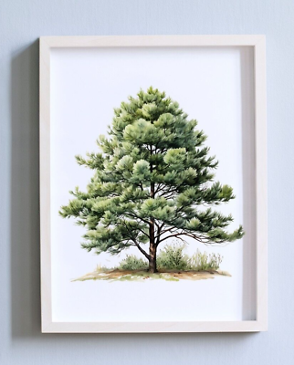 #ad #ad Pine Tree Wall Art Print Tree Wall Art Decor Forest Print Home Decor $9.99