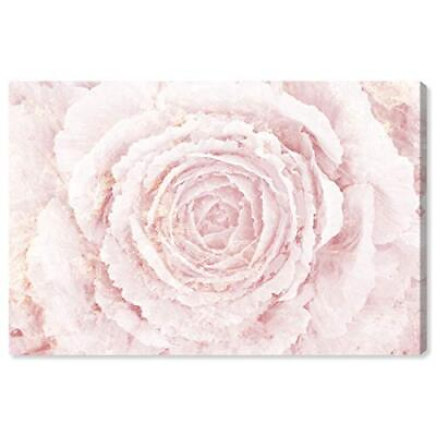 #ad The Oliver Gal Artist Co. Floral Wall Art Canvas Prints #x27;Blush Winter Flower ... $53.08