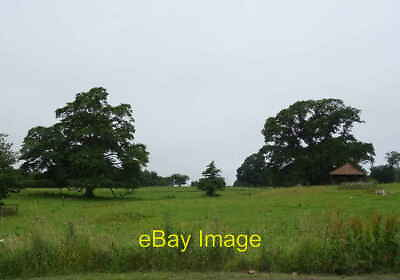 #ad Photo 6x4 Grazing St Fort Home Farm Woodhaven c2021 GBP 2.00