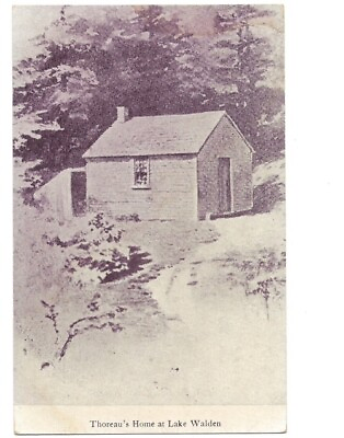 #ad Postcard Thoreau#x27;s Home Lake Walden Massachusetts MA c1915 $2.99