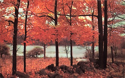Postcard Autumn Fall Leaves Orange Brown Field Rock Wall Trees Branches Lake $5.09