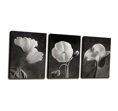 #ad #ad Canvas Wall Art Contemporary Life White 12quot;x16quot;Inch x 3 Pcs Black and white $43.62