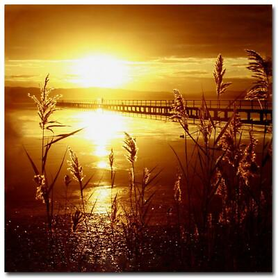 #ad Wall Art 35X35 In Sunset Gallery Wrapped Canvas Contemporary Unframed Landscape $111.95