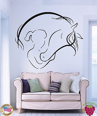 #ad Wall Vinyl Sticker Decal Abstract Horse and Girl Stables Animal Decor Art z769 $68.99