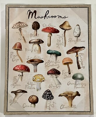 #ad Mushrooms Framed Canvas Print Wall Art Kitchen Decor 14” x 11” New $35.00