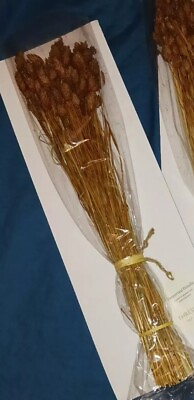 #ad Threshold Vase Filler 20quot; Tall. Dried Preserved Bundle New. $12.75