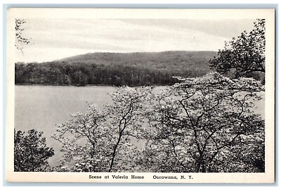 #ad c1920 Scene at Valeria Home Lake Oscawana New York NY Antique Vintage Postcard $4.95