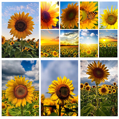 #ad Yellow Sunflower Mustard Wall Art Prints Sunset Posters Pictures Room Wall Decor $5.97
