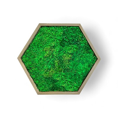 #ad #ad Hexagon Moss Wall Art Frame 18quot; Wood Wall Art Decor with Preserved Moss $149.95