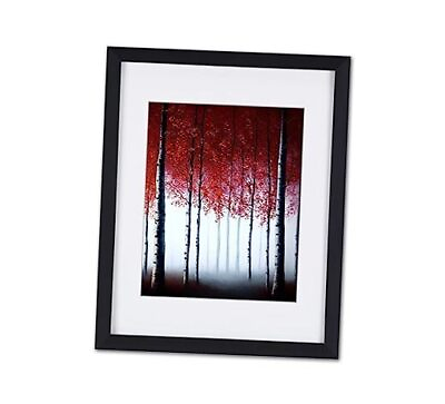 #ad Birch Trees Wall Art Framed Red Forest Pictures 11 x 14IN black framed tree Y49 $55.98