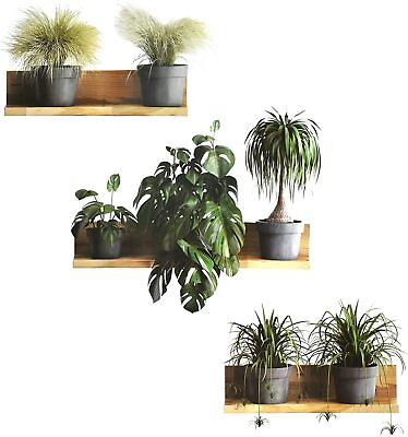 #ad Maydahui Creative Green Pot Plants Leaves Wall Decals 3D Bonsai Tropical Plant W $15.29