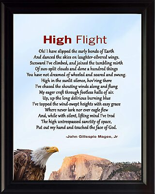 #ad John Gillespie Magee Jr High Flight Poster Print Picture or Framed Wall Art $19.81