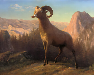 #ad Ram Sheep on Rocky Mountain Painting Giclee Fine Art Paper 8x10 11x14 16x20 A29 $19.99