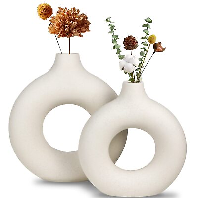 #ad White Ceramic Vase Modern Vase for Minimalist Decor Hollow Round Matte Pamp... $42.68