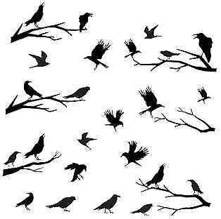 #ad Wall Decals Winter Branches Wall Decals Bird Wall Stickers Bedroom Black Crows $22.53