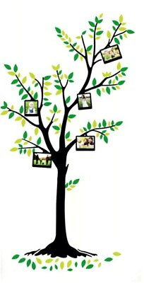 #ad Photo Tree Wall Decal Removable Stickers Dining Room Living Room Hallway Bedroom $36.99