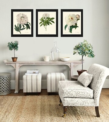 #ad White Peony Botanical Prints Wall Art Set of 3 Beautiful Antique Unframed $33.00