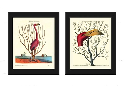 #ad Red Pink Flamingo Bird Wall Art Print Set of 2 Prints Beautiful Coral Unframed $13.00