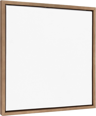 #ad Sylvie Blank Framed Canvas Wall Art 22x22 Gold Modern Empty Canvas $49.58