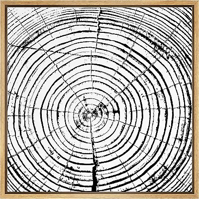 #ad #ad Black and White Tree Annual Ring Wall Art Framed Canvas Print Minimalist Decor $39.59