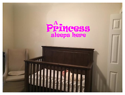 #ad #ad A PRINCESS SLEEPS HERE Wall Decal Mural Art Sticker 22quot;X9quot; BEDROOM NURSERY $15.11