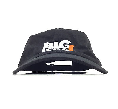 #ad Big Lots Brick And Mortar Retail Online Store Baseball Cap Hat Adj. Men MED $19.80