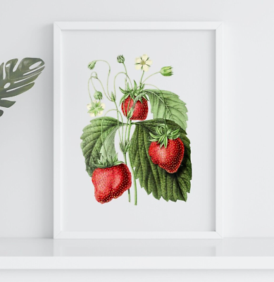 #ad #ad Strawberries llustration Print Kitchen Wall Art Print Strawberry Wall Art $9.99