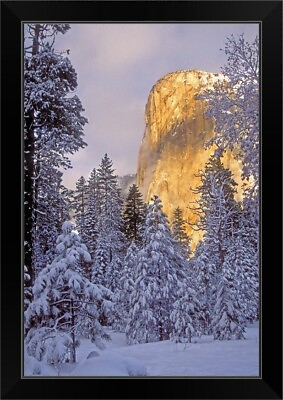 #ad California Yosemite National Park El Black Framed Wall Art Print Forest Home $84.99