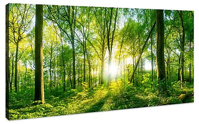#ad #ad Green Forest Wall Art for Living Room Canvas Wall Art Tree Filled Print Lands... $139.09