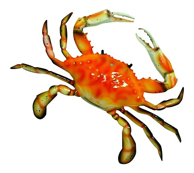 #ad Steamed Crab Beach Sea Tiki Deck Kitchen Wall Decor $9.98