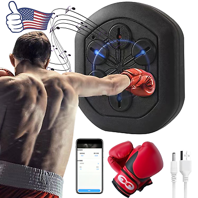 #ad Electronic Boxing Wall Target Wall Mounted Combat Music Smart Boxing Training US $345.18