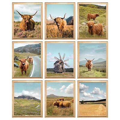 #ad Highland Cow Wall Art Highland Cow Pictures Wall Decor Farmhouse Highland ... $20.62