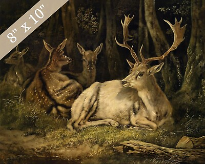 #ad 1800s Deer in Forest Moody Painting Giclee Print 8x10 on Fine Art Paper $14.99