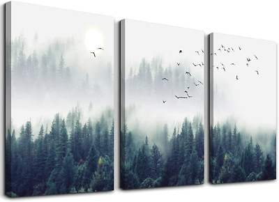 #ad 3 Piece Canvas Wall Art for Living Room Wall Decorations for Bedroom Foggy Fore $46.95