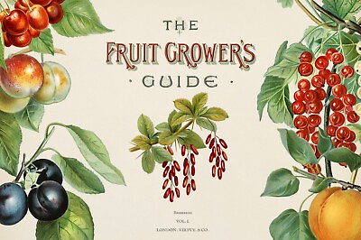 #ad 12848.Poster print.Room Wall design.Vintage garden fruit.Guide.Kitchen decor $60.00