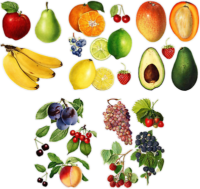 #ad #ad Large Wall Stickers * Fruit and Berry Vintage Real Size Illustration * Removable $10.99