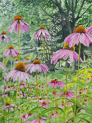 #ad #ad Country art prints fine art Cone flowers A3 print size flowers GBP 20.00